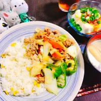 とうもろこしご飯、ナスと油揚げの味噌汁、ひき肉の回鍋肉、ラッコ|サトリさん