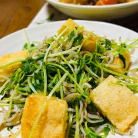 しらすとお揚げと豆苗の炒め物。| ちはるさん