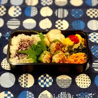 2025/07/11お弁当〜♡|いく❤️さん