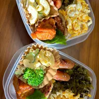 今日は高菜弁当| Riemamaさん