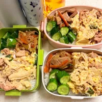 今日のお仕事弁当♪2025.7.11|ぐぅさん