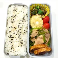 旦那さん弁当🍱|さーりさん