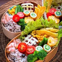 チーズハンバーグ弁当|まめさん