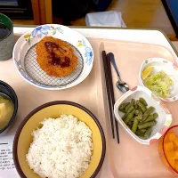 １日目夜とんかつでした。海苔の佃煮買っておいたの正解。| ナタママさん