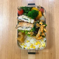 7月11日お弁当|auloraさん