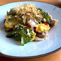 ゴーヤと豚肉の出汁炒め| おさかなさん