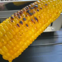 お家BBQで焼きとうもろこし🌽|mikkoroさん