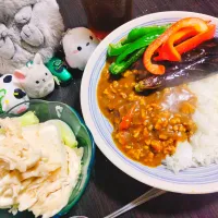 夏野菜のカレー、豆腐とササミのサラダ|サトリさん