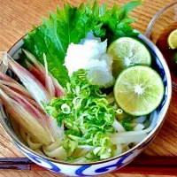 「冷製 おろし酢橘うどん」
喉越しの良い 乾麺の細うどん
冷水でキリリと閉めて
酢橘果汁と大根おろしのブッカケ出汁
夏野菜の薬味と常備菜を添えて
朝ごはん💦|ばくあんしゃさん