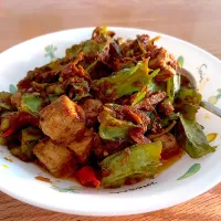 Spicy winged beans with tofu|Florrieさん