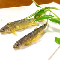 小鮎の天麩羅