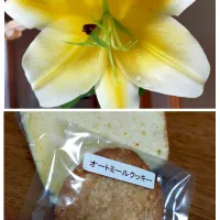 🍪手作りの頂き物🍞 嬉しいです✨