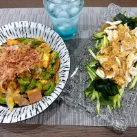初採れゴーヤ ＆ その他 自家栽培野菜で晩ご飯|sakuramochiさん