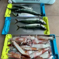 釣り|タマ三郎さん