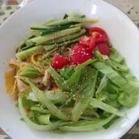 冷やし中華|はやとさん