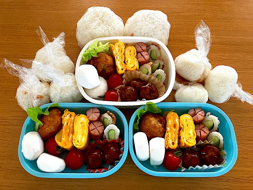 ＊子どもたちと作ったお弁当でピクニック🧺＊|＊抹茶＊さん