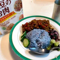 大豆のお肉でキーマスパイスカレーー|sasaちゃんこ😎さん