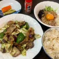 茄子と豚肉の鴫焼き他|tatsuponさん