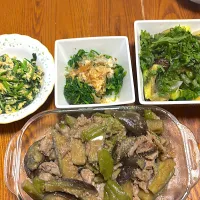豚肉ナスとピーマンの味噌炒め。|kerryさん