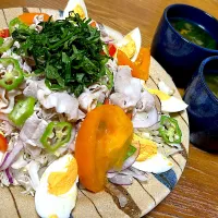 冷製豚しゃぶサラダとモロヘイヤズッキーニスープ|ひろちゃんさん