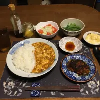 マルコメさんの大豆のお肉のハンバーグ、麻婆豆腐ライス、他(夕飯)|enarinさん