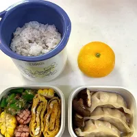 7月14日のお弁当🍱|momotoemiさん