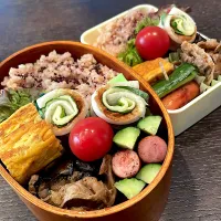 ナスとお肉炒めのお弁当|雑草シェリーさん