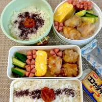 塩唐揚げ弁当。娘弁当。