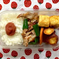 今日の女子高校生弁当|rbyさん