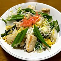 鳥🐓胸肉の野菜炒め❗️(｡･ω･｡)✨|サソリさん