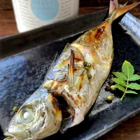 釣り魚🎣アジの山椒塩焼き|9421beruさん