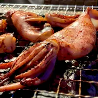 イカ釣り🦑七輪でイカ焼き| 9421beruさん