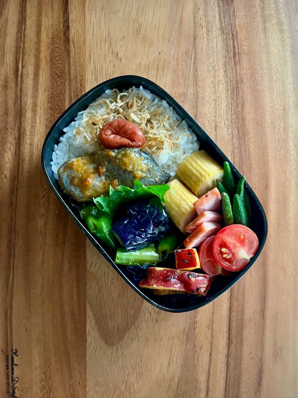 高1男子お弁当　サワラの梅味噌焼き🐟|kaeさん