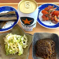 1人晩酌メニュー|ATSUMIさん