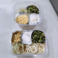 山形のだしととろろのぶっかけうどん弁当|puniさん