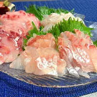 白身魚の盛り合わせ|ゆっちこさん