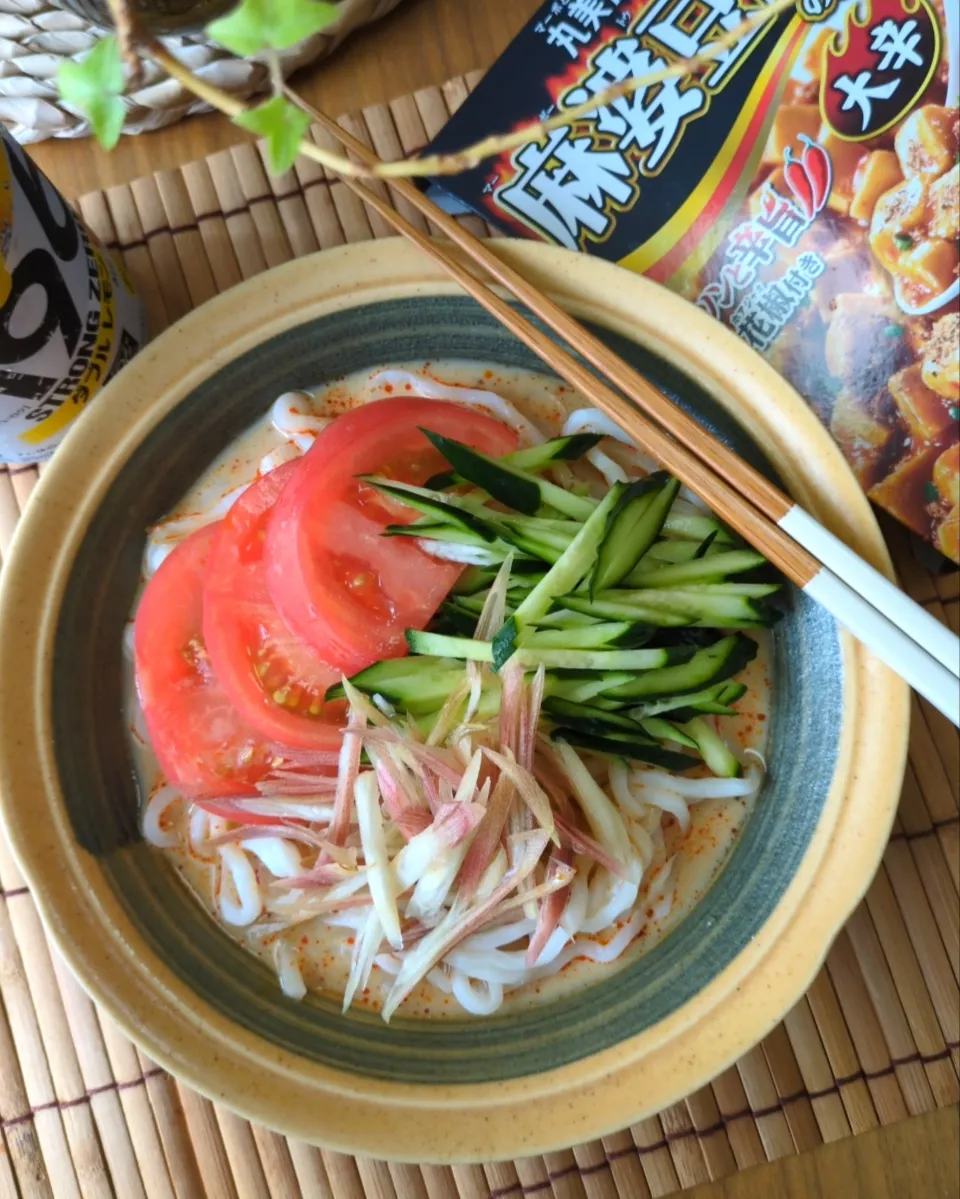 冷やし麻婆豆乳うどん|まりおさん