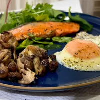 鮭ランチ|🐧ペンギン2さん
