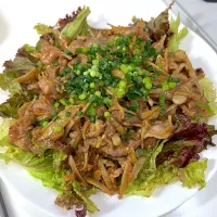 豚ごぼうの豆板醤炒め|miyuさん