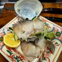 活ホッキ貝の刺身|さくたろうさん