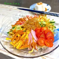 ピリ辛ごまだれの冷やし中華|亜矢子さん