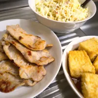 豚ロース塩麹焼きと揚げ出し豆腐とキャベツ千切り|時雨さん