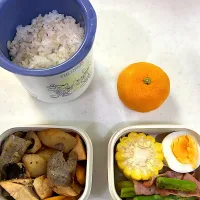 7月15日のお弁当🍱|momotoemiさん