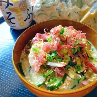 保存バックで作れる無水冷や汁