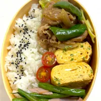 回鍋肉弁当|aiaiさん