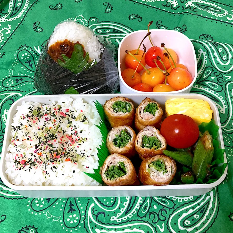豆苗肉巻き弁当|SaDaさん