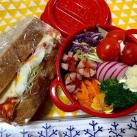 サンドイッチのお弁当🥪