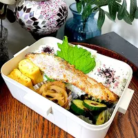 お弁当|Mikaさん