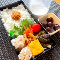 シュウマイと茄子の煮浸し弁当|Abikoさん
