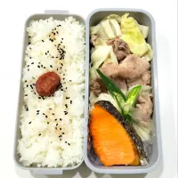 旦那さん弁当🍱|さーりさん